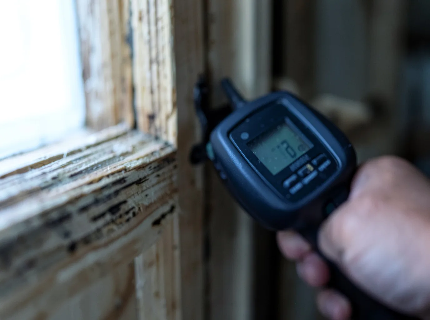 Moisture Inspection And Documentation in Mabscott, WV